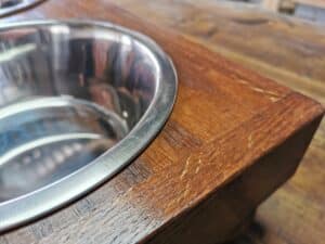 dog feeding station