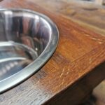 dog feeding station