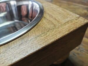 dog feeding station